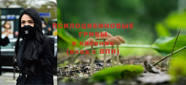 дмт Алексеевка