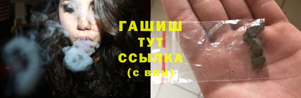 apvp Алзамай