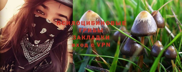дмт Алексеевка