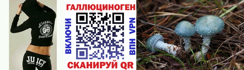 Псилоцибиновые грибы GOLDEN TEACHER  Невьянск 